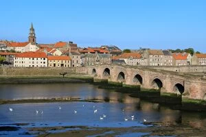 Wall Building Feature Gallery: View of Berwick-upon-Tweed, England