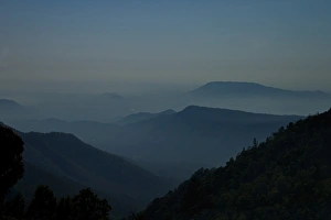 Images Dated 2012 February: 