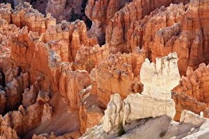 Images Dated 23rd June 2011: View from Bryce Point showing layers of sandstone hoodoos, Bryce Canyon National Park, Utah, USA