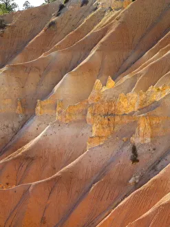 Images Dated 27th October 2017: View of canyon with hoodoos, Bryce Canyon National Park, Utah, USA