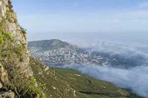 Images Dated 21st October 2014: View of clouds rolling over downtown from Devils Peak, Table Mountain National Park, Cape Town