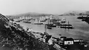 View of Coast and Boats in Harbor