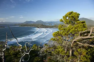 Rain Forest Prints: The View Of Cox Bay And Surrounding Mountains And Temperate Rainforest Near Tofino
