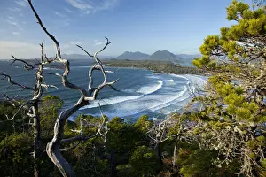 Cox Bay Prints: The View Of Cox Bay And Surrounding Mountains And Temperate Rainforest Near Tofino; British Columbia Canada