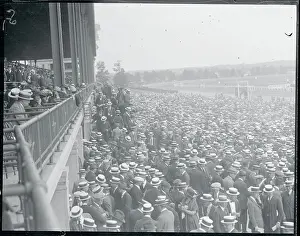 Elmont Prints: View of Crowd at Belmont Park