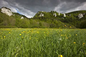 Images Dated 13th May 2012: View from the Danube Valley to Burg Wildenstein Castle with rocks, Baden-Wuerttemberg, Germany