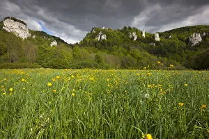 Images Dated 13th May 2012: View from the Danube Valley to Burg Wildenstein Castle with rocks, Baden-Wuerttemberg, Germany