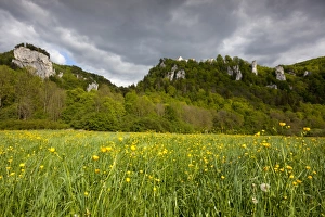 Images Dated 13th May 2012: View from the Danube Valley towards Burg Wildenstein Castle with rocks, Leibertingen