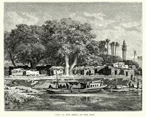 Images Dated 4th August 2015: View on the Delta of River Nile 19th Century