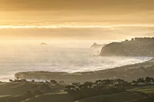 Mist Collection: View of Dunedin Beach at sunset, Dunedin, Otago Peninsula, South Island, New Zealand, Oceania