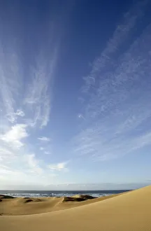 Dune Gallery: View Over the Dunes to the Ocean