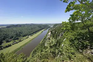 Fluvial Prints: View of the Elbe river with Wartturm rock formation