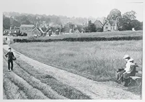 View of Field With Houses in Background