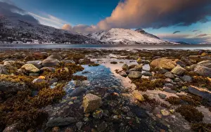 Tromso Prints: View of Fjord in Tromso