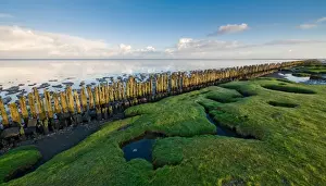 Salt Seasoning Prints: View over grasses, poles en tidal flats of the Wadden sea at Dutch Northcoast