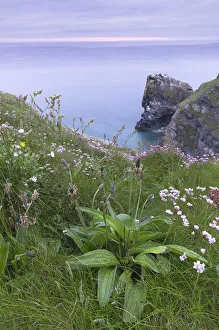 Images Dated 4th June 2012: View of Hells Mouth, Cornwall, England, United Kingdom, Europe