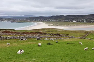 Republic Of Ireland Gallery: View from Horn Head over Dunfanaghy, County Donegal, Ireland, Europe