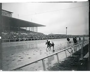 Bowie Prints: View of Horse Race