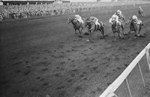 View of Horse Race in Action