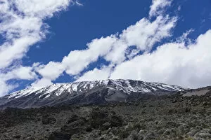 Images Dated 13th February 2016: View of Kibo peak from Pofu Buffalo Camp, Northern Circuit, Mount Kilimanjaro, Kilimanjaro Region
