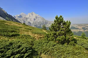 View towards Kom Ljevorijecki Mountain, 2464 m, Komovi Mountains, Montenegro, Crna Gora, The Balkans, Europe