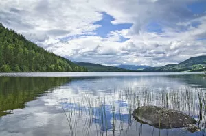 Images Dated 7th July 2011: View of a lake in southern Norway, Norway, Europe
