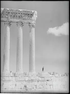 View of Large Column Poles