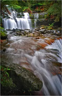 Tasmania Prints: A view of Liffey Falls in Central Tasmania