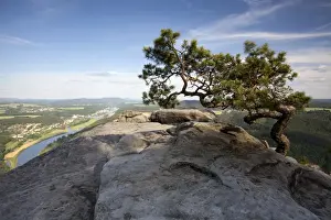 Elbsandstein Mountains Prints: View from Lilienstein, a table mountain in the Elbe Sandstone Mountains