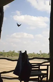 Chalet Prints: View of the Luangwa Riverbed from Lodge Accommodation
