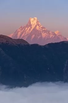 Images Dated 26th November 2016: The view of Machhapuchhre (Fish tail) from Poon hill