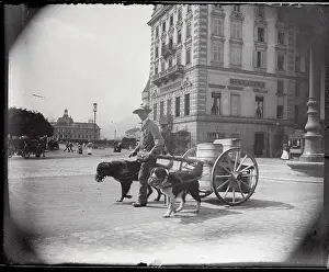 Lucerne Prints: View of Milk Merchant with Dogs