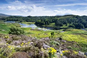 Scotch Prints: View across the moorland at Loch Dubhaird Mor in the Northern Highlands