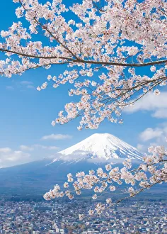 Images Dated 19th July 2017: View of Mount Fuji with Cherry Blossom, Japan