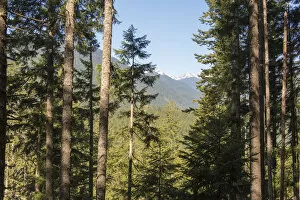 Images Dated 25th May 2017: View from Mt. Walker trail to Olympics, Olympic National Forest, Washington State, USA