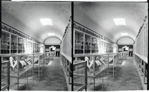 Pompeii Prints: View of Museum in Pompeii