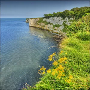 A view to Old Harry rocks, Jurassic coastline, Dorset, England, United Kingdom