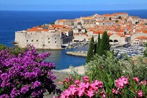 Pink Color Gallery: View of Old Town City of Dubrovnik