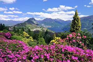 European Alps Collection: View from Parco San Grato to the village of Carona, San Salvatore, Lago di Lugano, Lugano