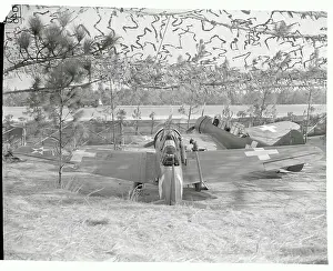 North Carolina Prints: View of Plane at Camouflaged Airport