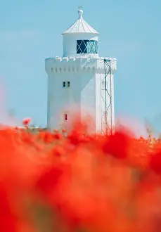 A view of a poppy field with South Foreland lighthouse in the background - stock photo