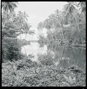 View of River Battle Site