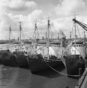 View of Ships Near Pier