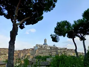 Siena Prints: View of Siena, Tuscany (Unesco WHS)