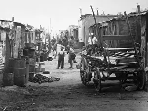 Johannesburg Prints: View of Squalid Street Scene in Shanty Town