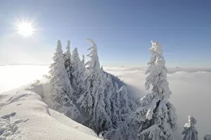 View from the summit of Mt. Unterberg to the west, Lower Austria, Austria, Europe