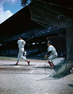 Back View of Ted Williams Batting