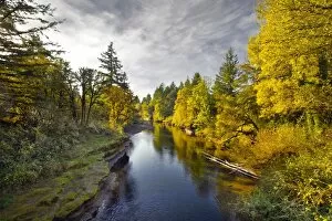 David Gn Photography Gallery: View of Thomas creek from Hannah Covered bridge