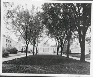 View of Tree Lined Street Near Pennsylvania State College