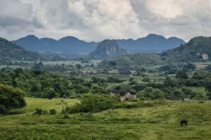 Images Dated 22nd September 2014: View on ViAnales valley, in Cuba